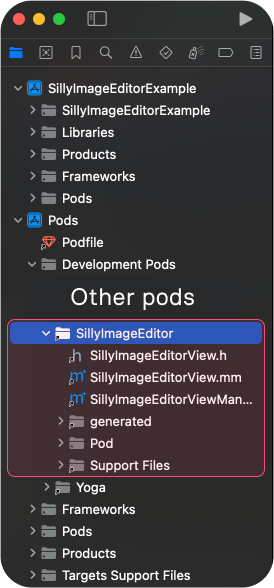 Editing the native library from XCode